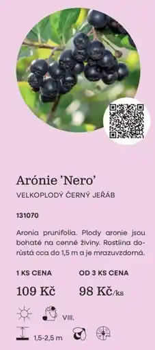 Starkl Arónie 'Nero' nabídka