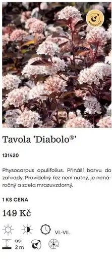 Starkl Medonose Tavola 'Diabolo' nabídka