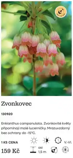 Starkl Zvonkovec nabídka