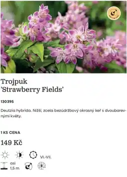 Starkl Trojpuk 'Strawberry Fields' nabídka