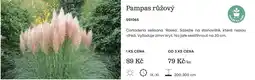 Starkl Pampas růžový nabídka