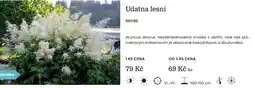 Starkl Udatna lesní nabídka