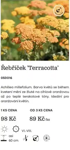 Starkl Medonosné Řebříček 'Terracotta' nabídka