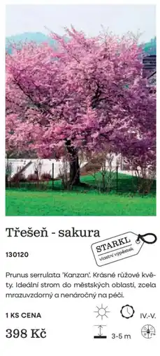 Starkl Starkl třešeň - sakura nabídka