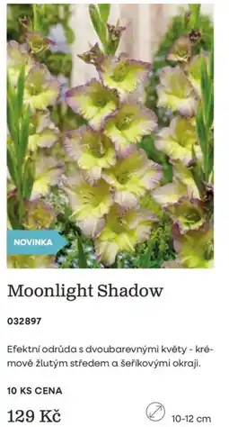 Starkl Moonlight Shadow nabídka