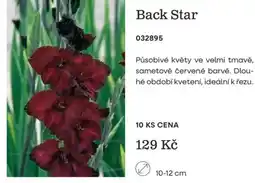 Starkl Back Star nabídka