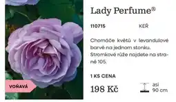 Starkl Lady Perfume nabídka