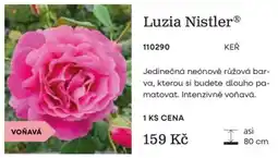 Starkl Luzia Nistler nabídka