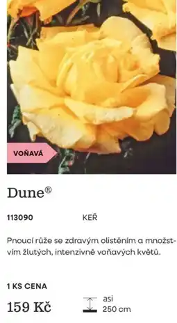 Starkl Dune® KEŘ nabídka