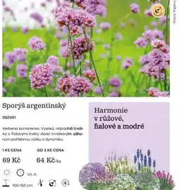 Starkl Sporýš argentinský nabídka