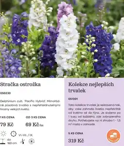 Starkl Stračka ostrožka nabídka