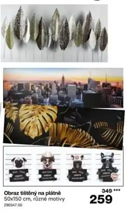 Sconto Obraz tištěný na plátně nabídka
