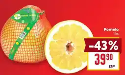 Billa Pomelo nabídka