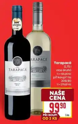 Billa Tarapacá nabídka