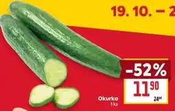 Billa Okurka nabídka