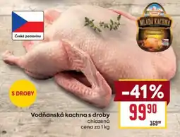 Billa Vodňanská kachna s droby nabídka