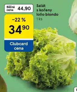 Tesco Salát s kořeny lollo biondo nabídka