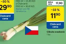 Tesco Cibule svazková nabídka