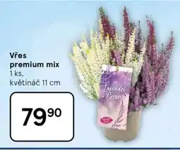 Tesco Vřes premium mix nabídka