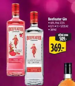 Albert Beefeater Gin nabídka