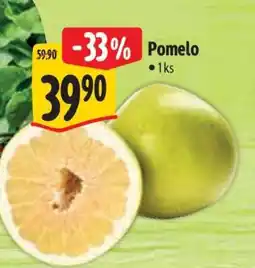 Albert Pomelo nabídka