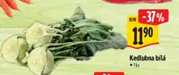 Albert Kedlubna bílá nabídka