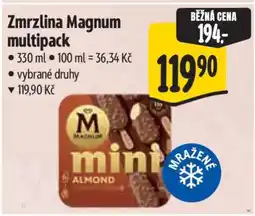 Albert Zmrzlina Magnum multipack nabídka