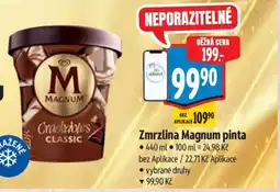 Albert Zmrzlina Magnum Pinta nabídka