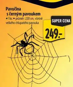 Albert Pavučina s černým pavoukem nabídka