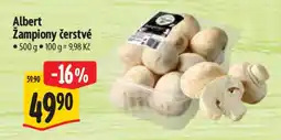 Albert Albert Žampiony čerstvé nabídka