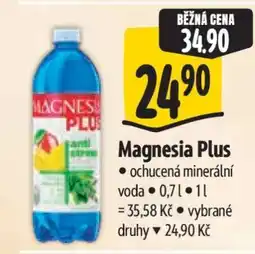 Albert Magnesia Plus nabídka