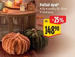 Albert Polštář dýně nabídka
