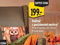 Albert Polštář s podzimními motivy nabídka