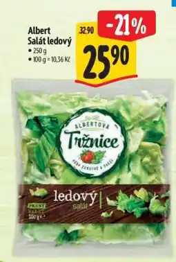 Albert Albert Salát ledový nabídka