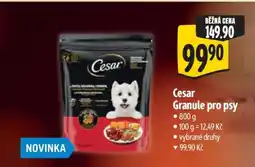 Albert Cesar Granule pro psy nabídka