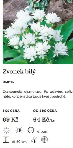 Starkl Zvonek bílý nabídka