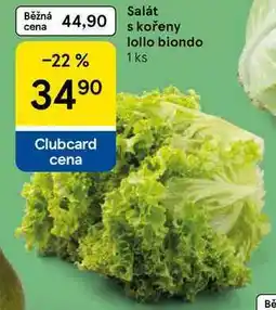 Tesco Salát s kořeny lollo biondo, 1 ks nabídka