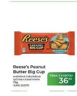Tamda Foods Reese's Peanut Butter Big Cup arašídová čokoládová tyčinka s karamelem nabídka