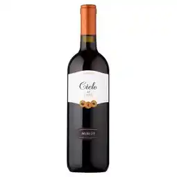 Tamda Foods Cielo Merlot delle Venezie červené polosuché víno 0,75l nabídka