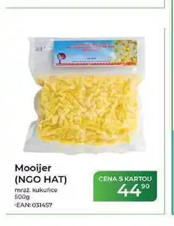 Tamda Foods Mooijer (NGO HAT) mraž. kukuřice nabídka