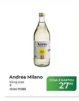 Tamda Foods Andrea Milano Vinný ocet 11 nabídka