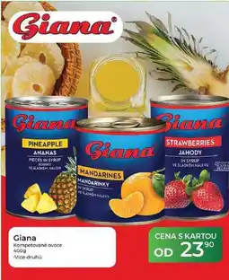Tamda Foods Giana Kompotované ovoce nabídka
