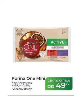 Tamda Foods Purina One Mini kapsičky pro psy 4x85g-10x85g nabídka