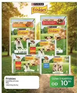 Tamda Foods Friskies kapsičky pro psy nabídka