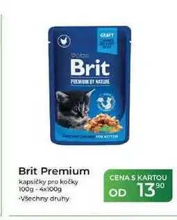 Tamda Foods Brit Premium kapsičky pro kočky 100g nabídka