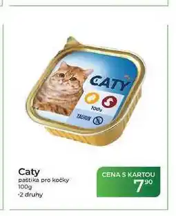 Tamda Foods Caty paštika pro kočky nabídka
