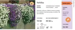 Starkl Tařička nabídka