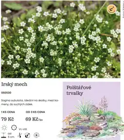 Starkl Irske mech nabídka