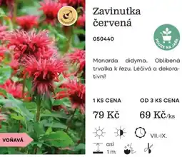 Starkl Zavinutka červená nabídka