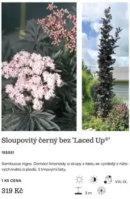Starkl Laced Up® sloupovitý černý bez nabídka
